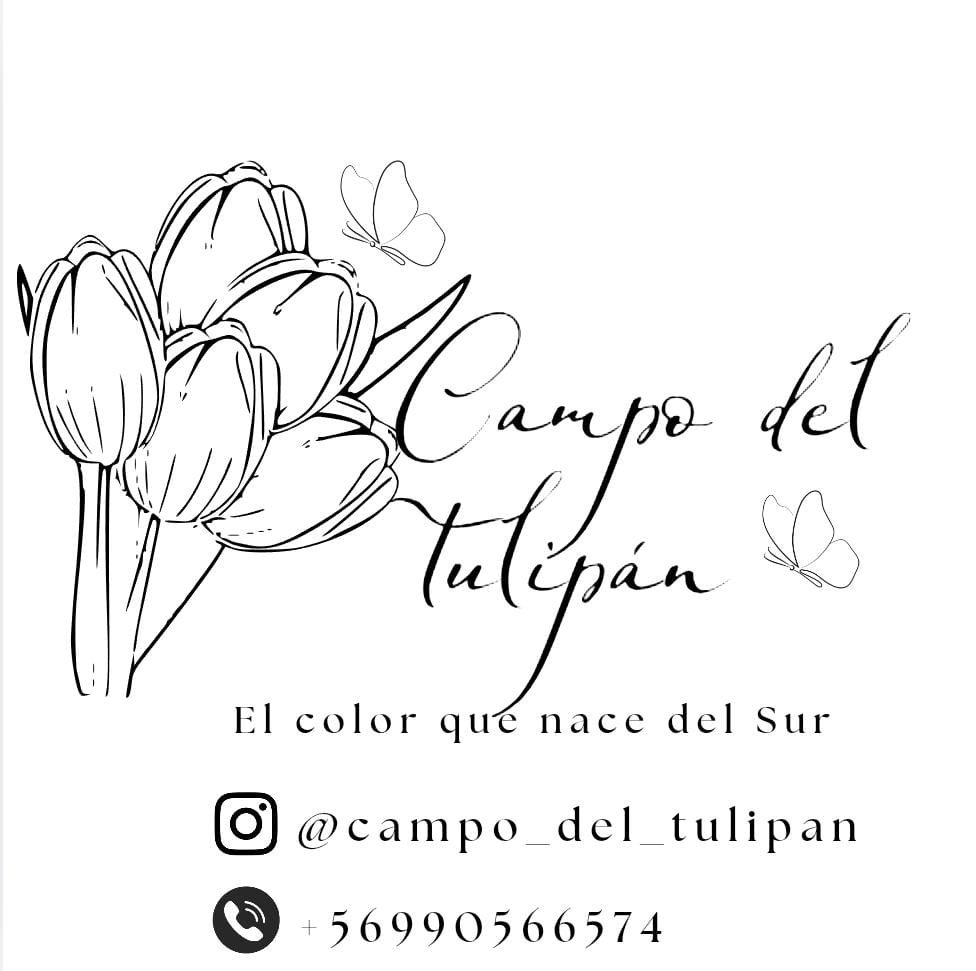Campo del Tulipán